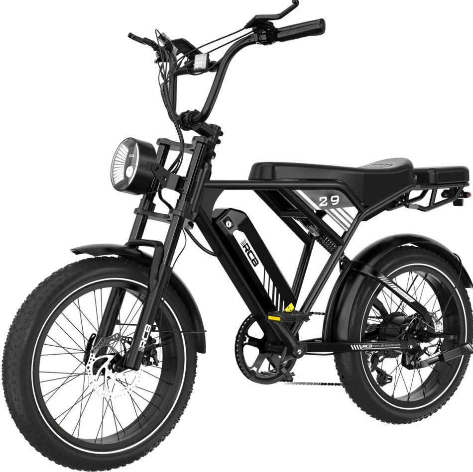 img-1783528642607-944013.webp RCB E-Bike RK29 Elektrofahrrad, 20x4,0 Zoll, 40-60KM Reichweite, 624 Wh – Bild 1