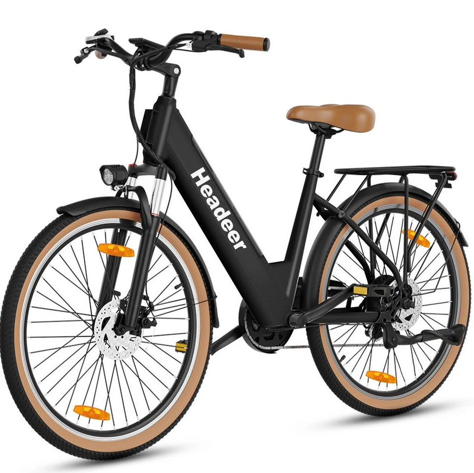 Vankel E-Bike Cityrad 26 Zoll, 250W, 648Wh, Shimano 7-Gang, Tiefeinsteiger